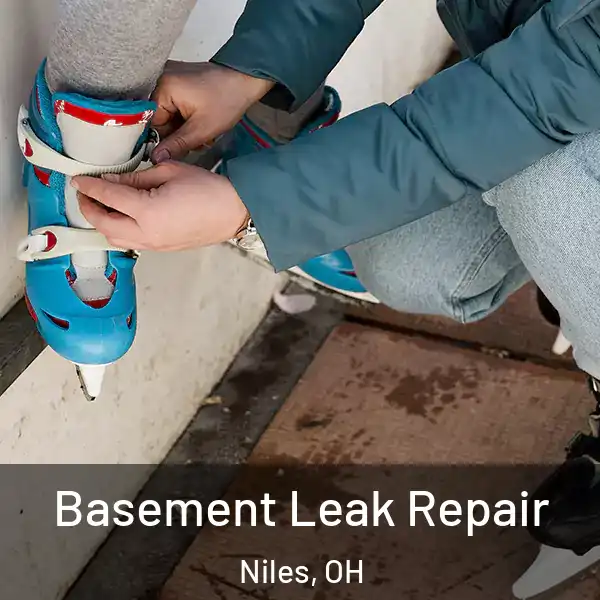 Basement Leak Repair Niles, OH