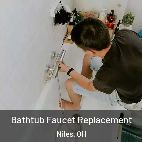  Bathtub Faucet Replacement Niles, OH