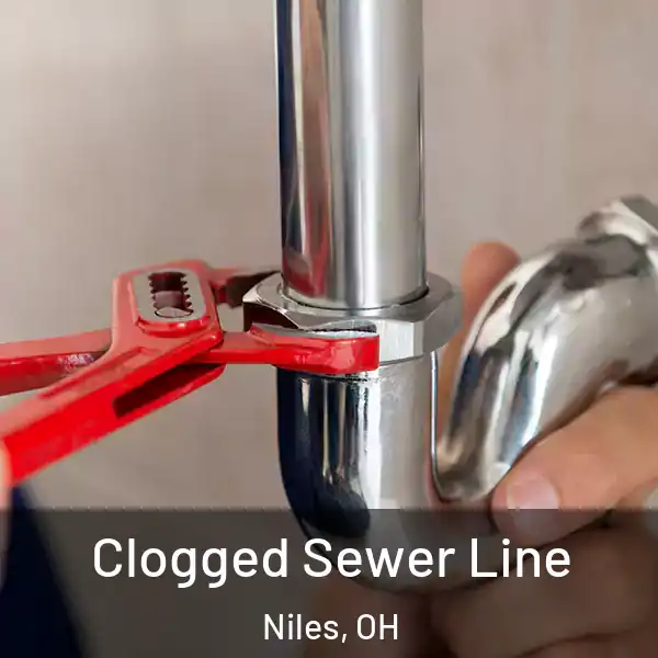  Clogged Sewer Line Niles, OH