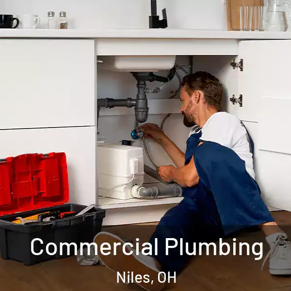  Commercial Plumbing Niles, OH