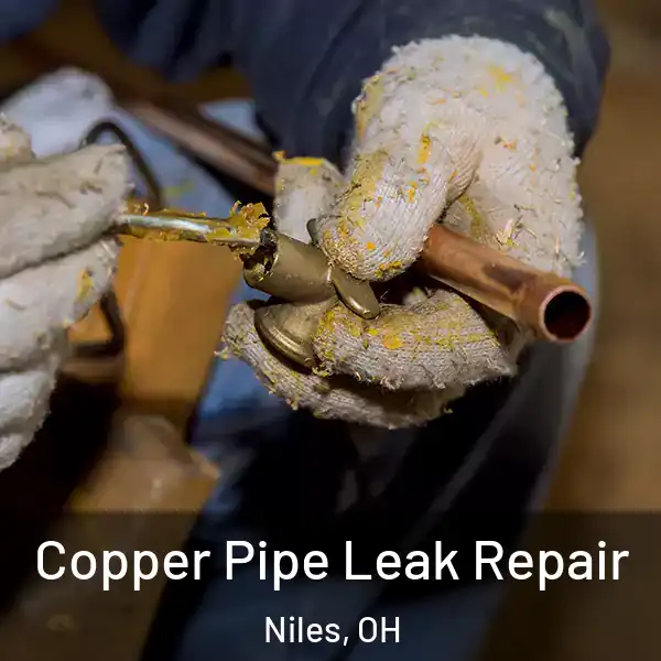  Copper Pipe Leak Repair Niles, OH