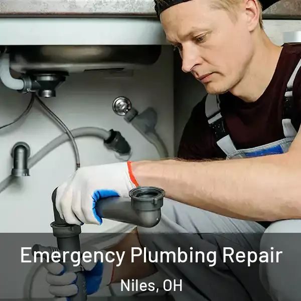  Emergency Plumbing Repair Niles, OH