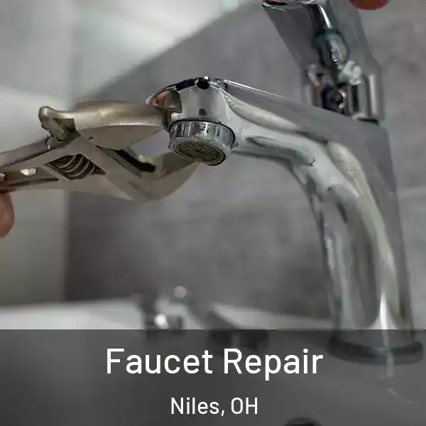  Faucet Repair Niles, OH