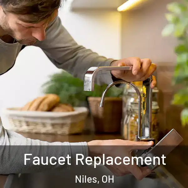  Faucet Replacement Niles, OH