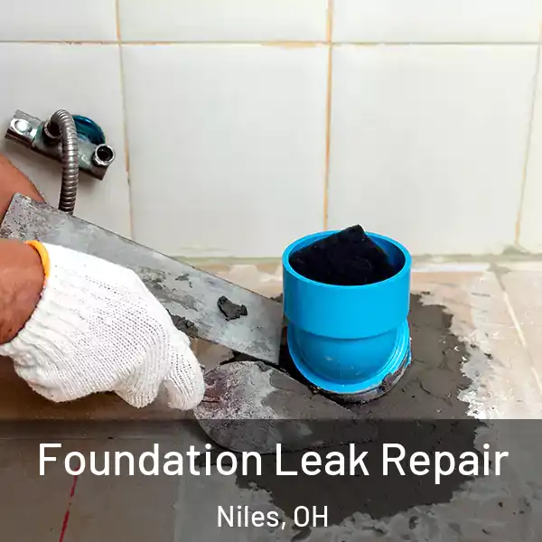  Foundation Leak Repair Niles, OH