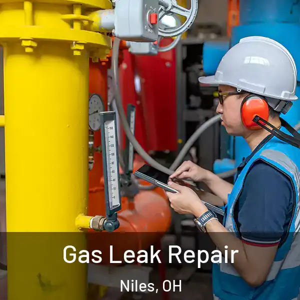  Gas Leak Repair Niles, OH