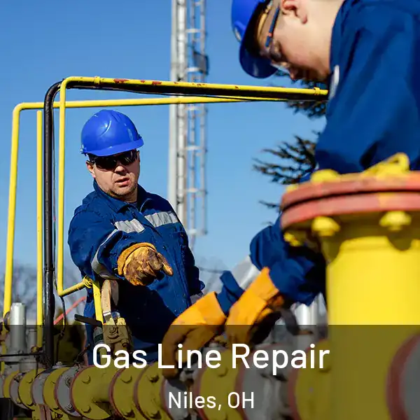  Gas Line Repair Niles, OH