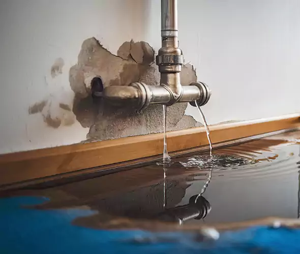 Professional Water Damage Restoration Experts in Niles, OH — Fast, Reliable & Certified