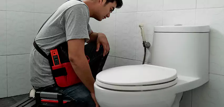 Toilet Repair in Niles