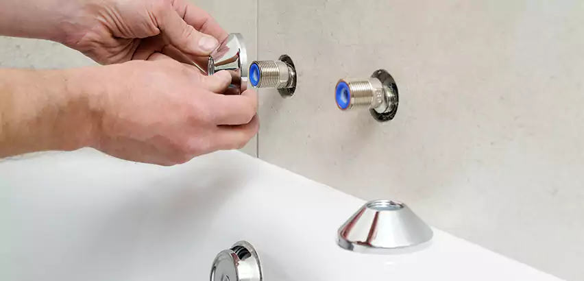 Bathtub Faucet Diverter Replacement in Niles