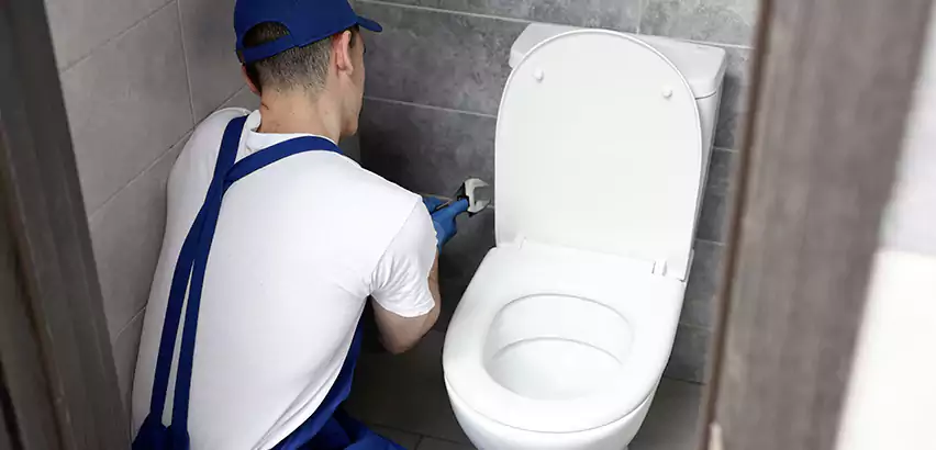Toilet Lid Replacement in Niles