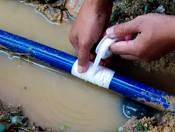  Why Choose Niles Plumbing Pros for Leak Detection in Niles, OH?]