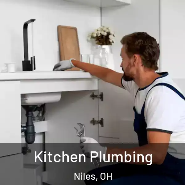 Kitchen Plumbing Niles, OH