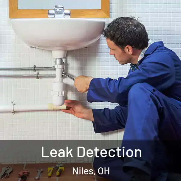  Leak Detection Niles, OH