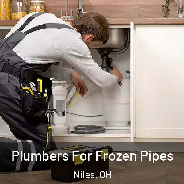  Plumbers For Frozen Pipes Niles, OH