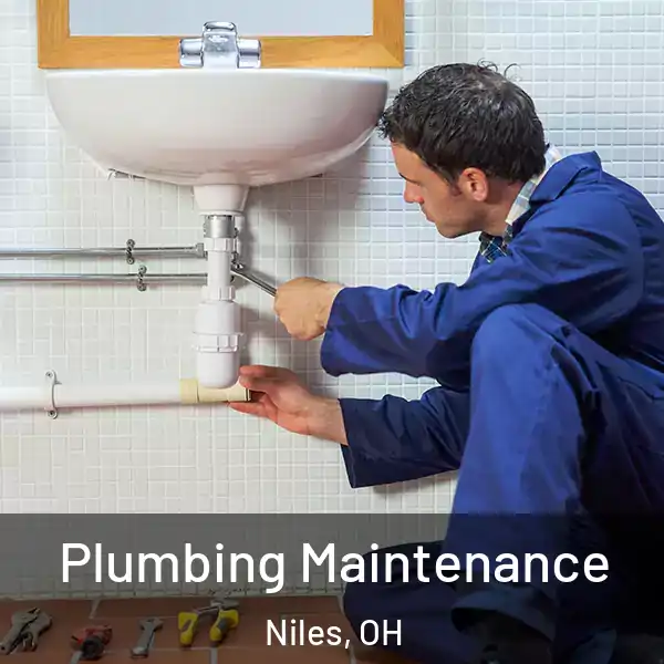  Plumbing Maintenance Niles, OH