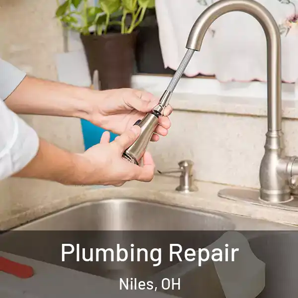  Plumbing Repair Niles, OH