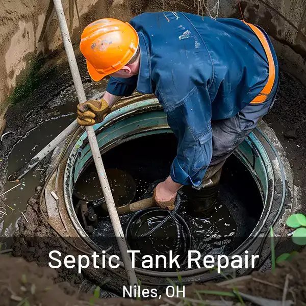  Septic Tank Repair Niles, OH