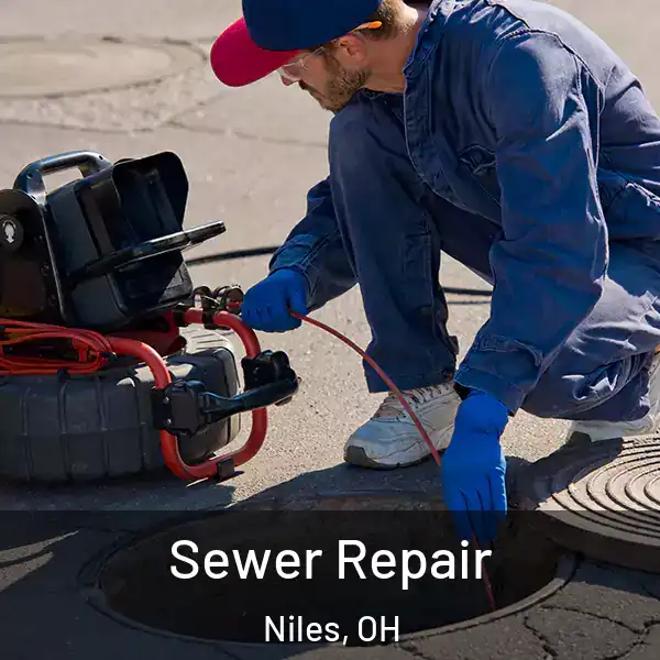  Sewer Repair Niles, OH