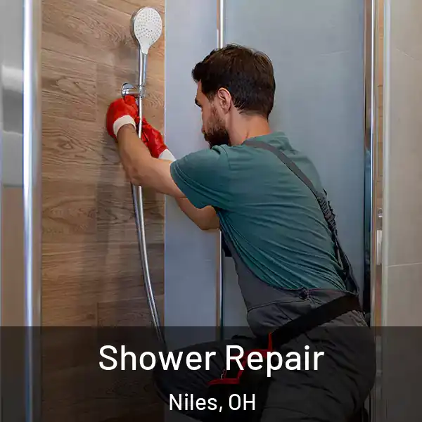  Shower Repair Niles, OH