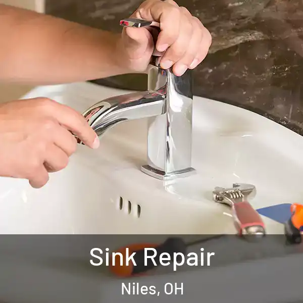  Sink Repair Niles, OH