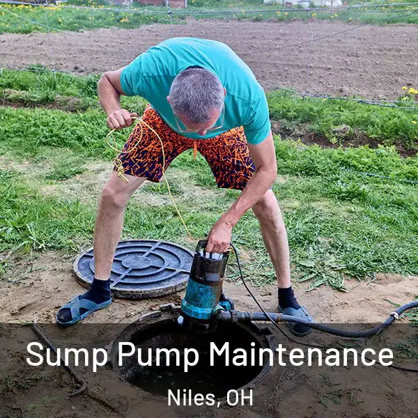  Sump Pump Maintenance Niles, OH