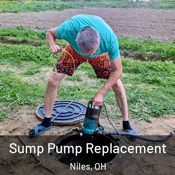  Sump Pump Replacement Niles, OH