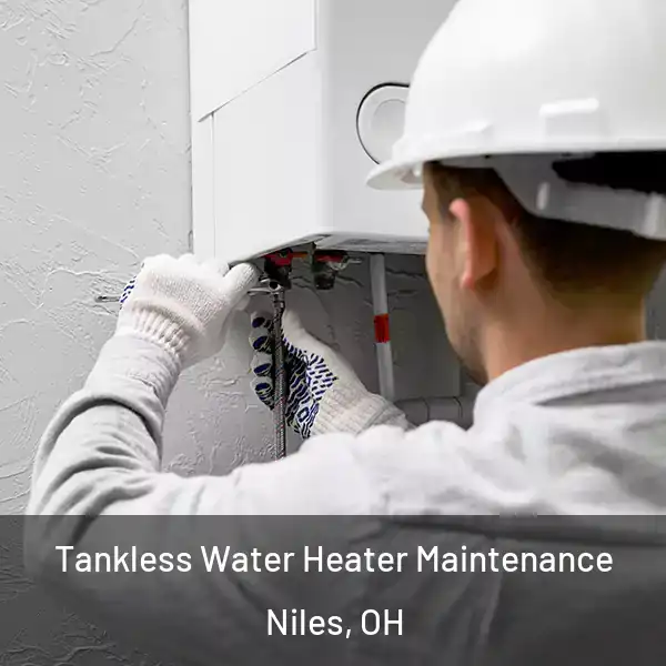  Tankless Water Heater Maintenance Niles, OH