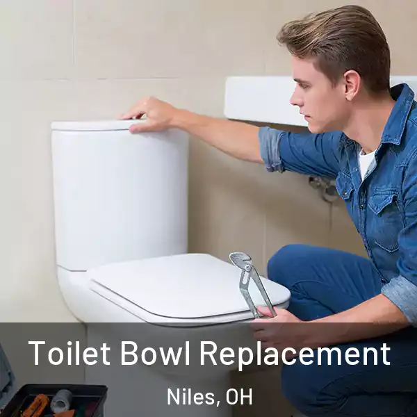  Toilet Bowl Replacement Niles, OH