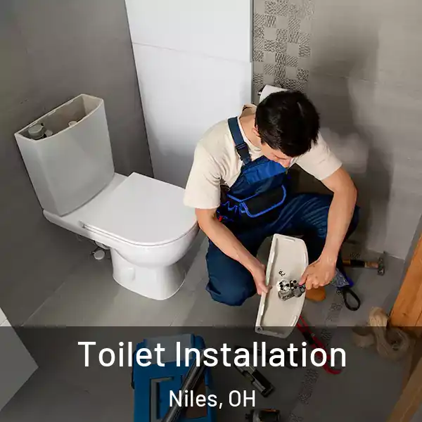  Toilet Installation Niles, OH