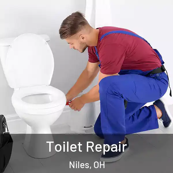 Toilet Repair Niles, OH