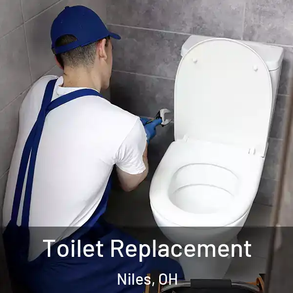  Toilet Replacement Niles, OH