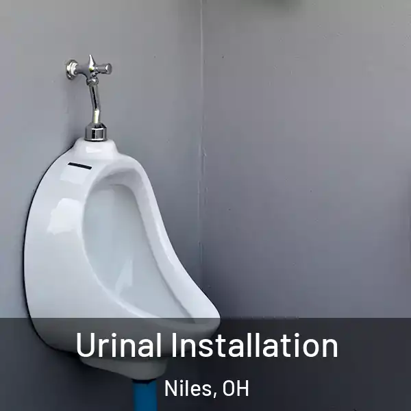  Urinal Installation Niles, OH