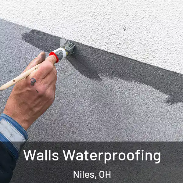  Walls Waterproofing Niles, OH