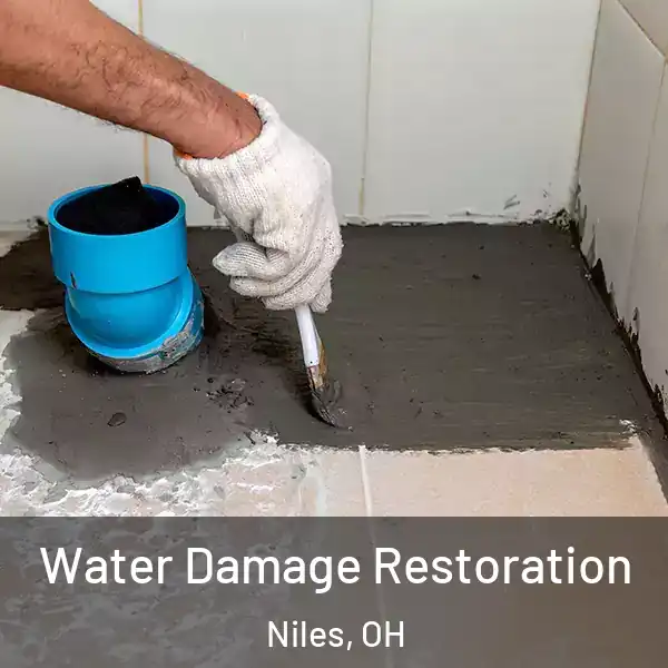  Water Damage Restoration Niles, OH