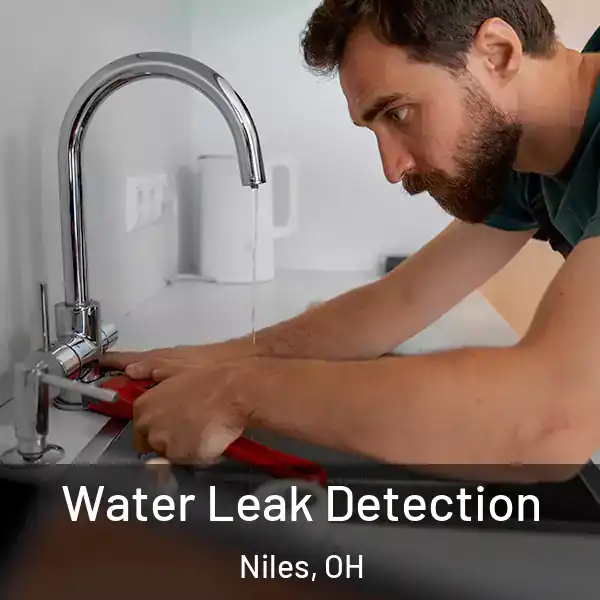  Water Leak Detection Niles, OH