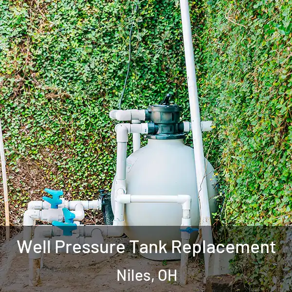  Well Pressure Tank Replacement Niles, OH