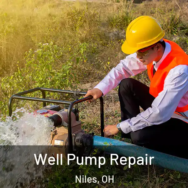  Well Pump Repair Niles, OH